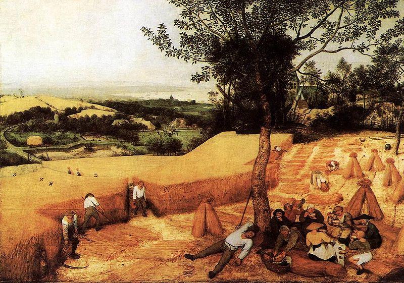 Pieter Bruegel the Elder The Corn Harvest Norge oil painting art